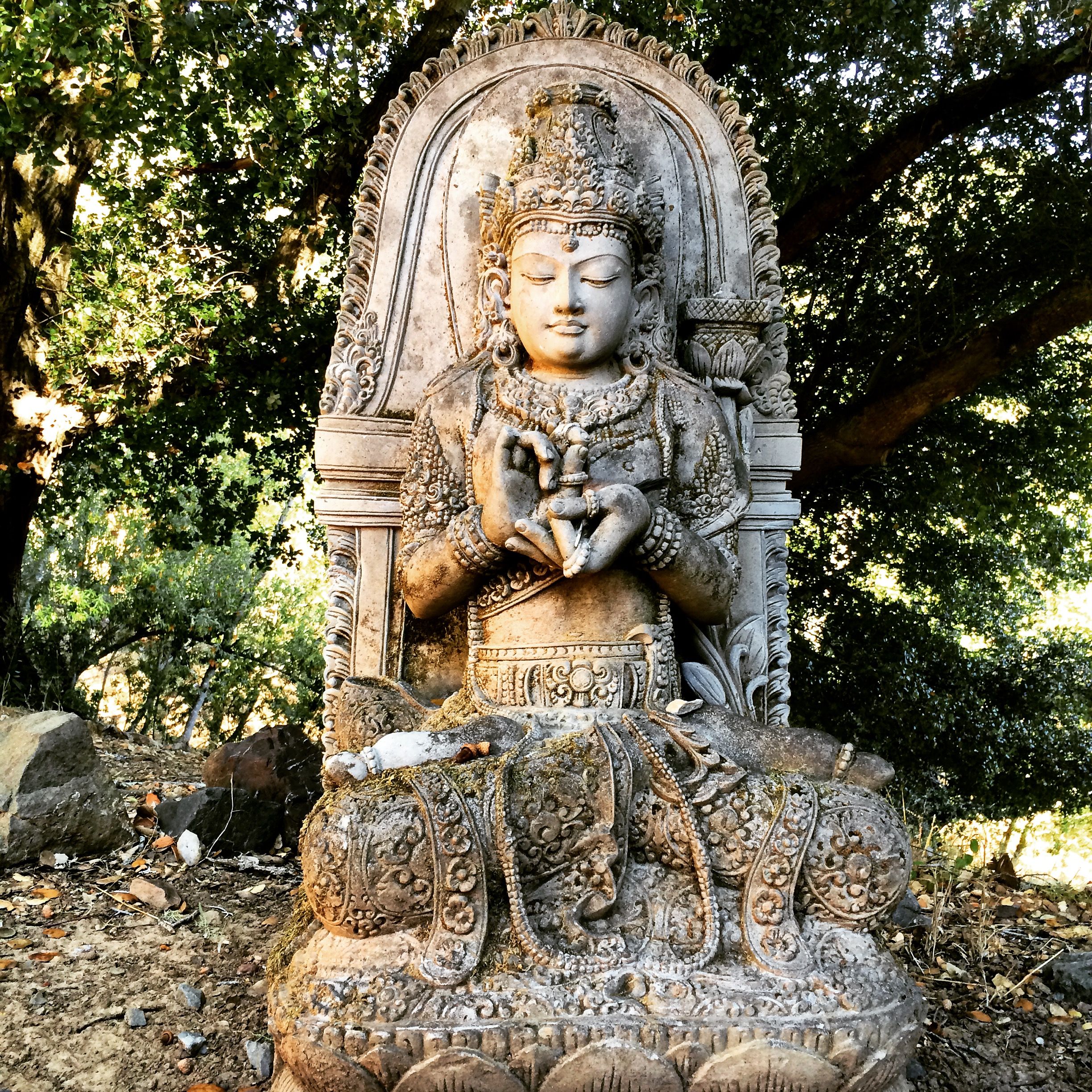 dharma protector compassion meditation prajna dharma