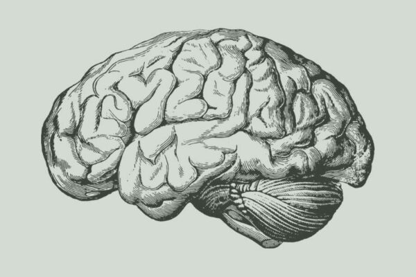 An image of the brain, relating to therapy and healing.
