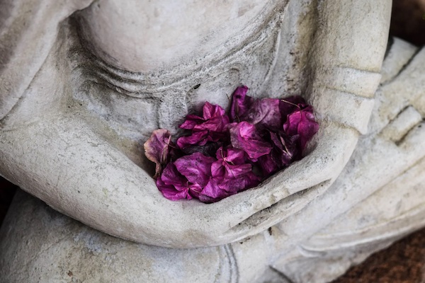 The Buddha with pink rose petals in lap.