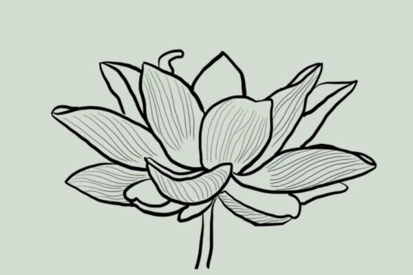 A lotus blossom, symbolizing transformation and spirituality.