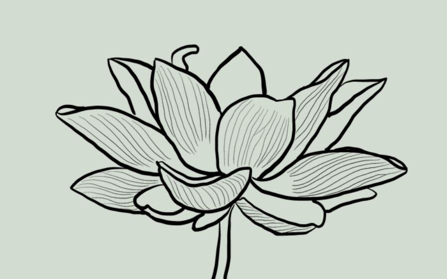 A lotus blossom, symbolizing transformation and spirituality.